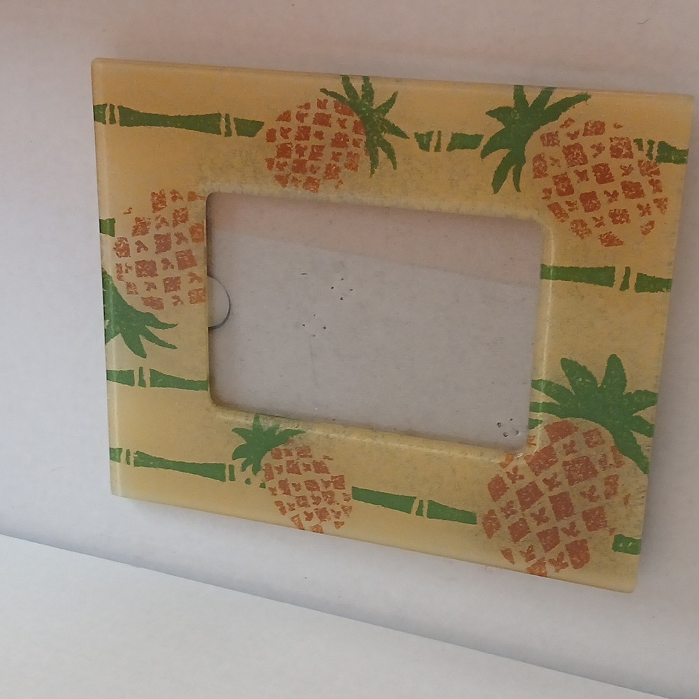 Tropical Picture Frame NWT
